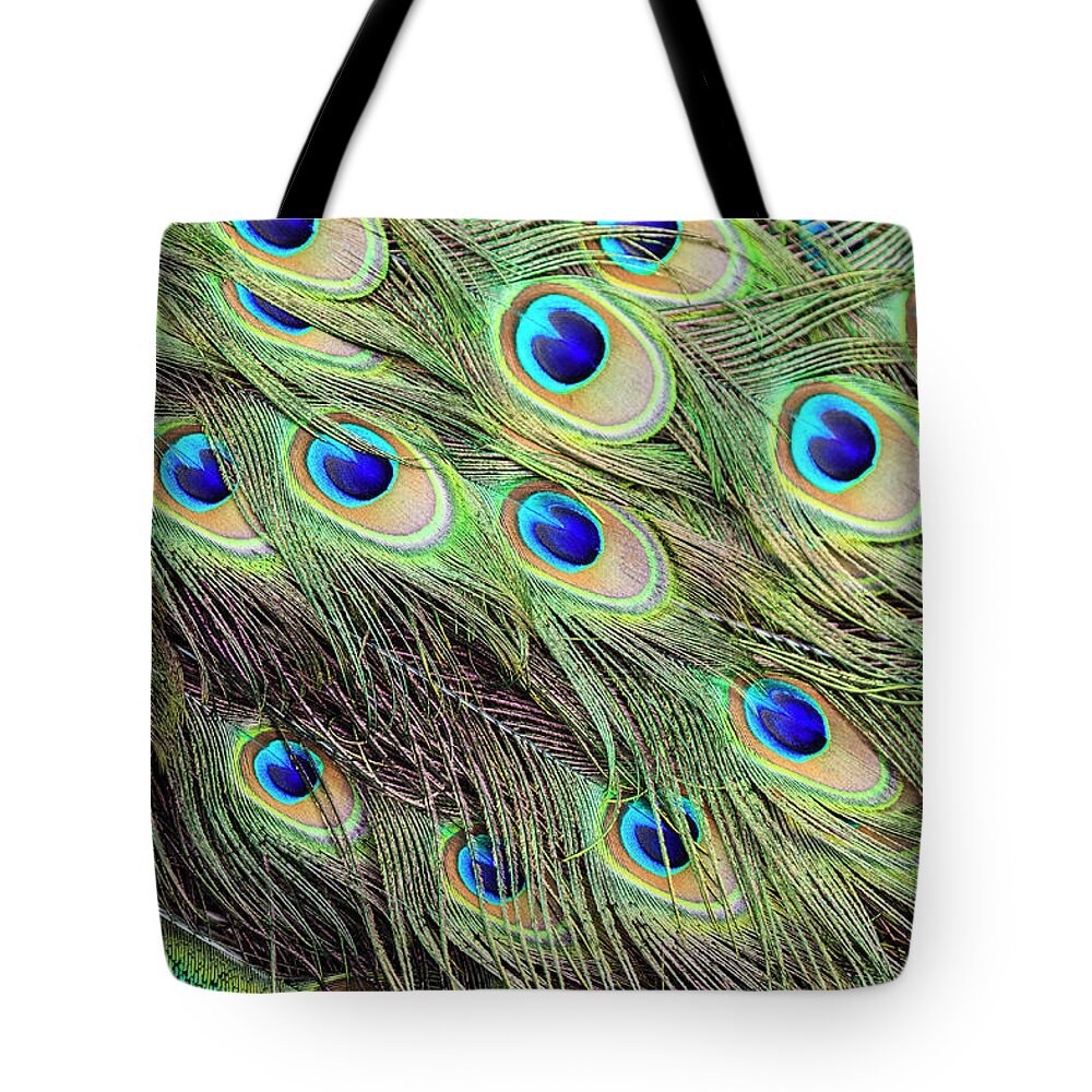 Indian Peafowl Tote Bag featuring the photograph Tail Feathers Of Indian Peacok by Juan Silva