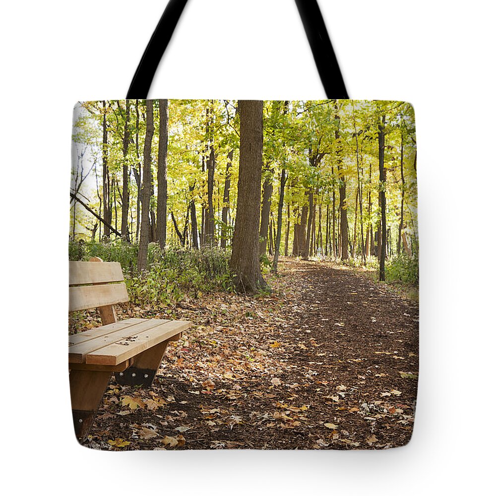 Autumn Trees Tote Bag featuring the photograph Take a Rest by Patty Colabuono