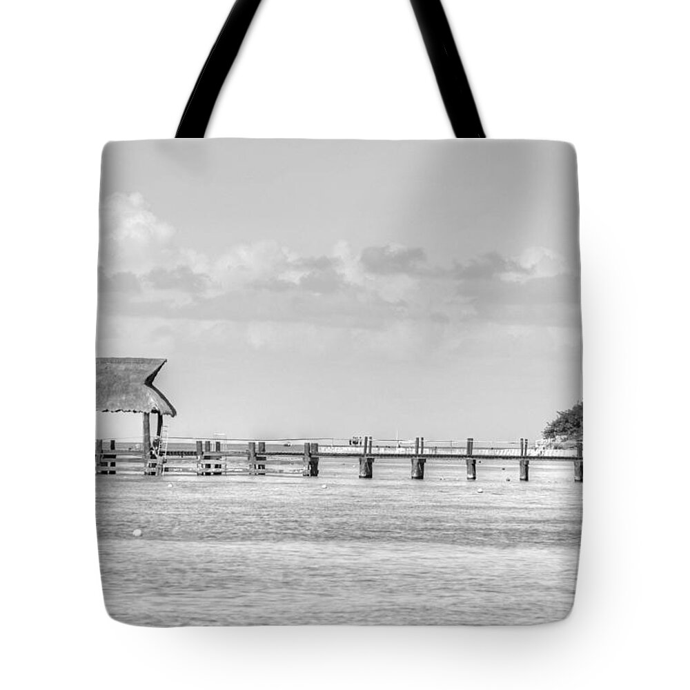 Pier Tote Bag featuring the photograph Take a Long Walk Off a Short Pier by Bill Hamilton