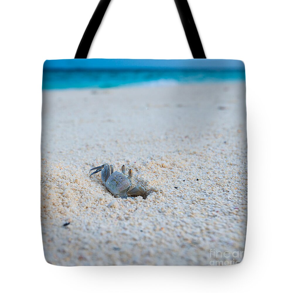 1x1 Tote Bag featuring the photograph Take A Look by Hannes Cmarits