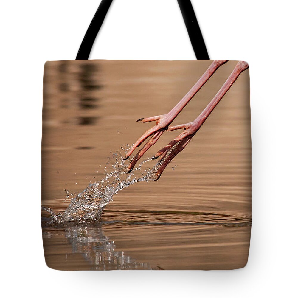 Taking Off Tote Bag featuring the photograph Take Off by Photography By Masood Hussain
