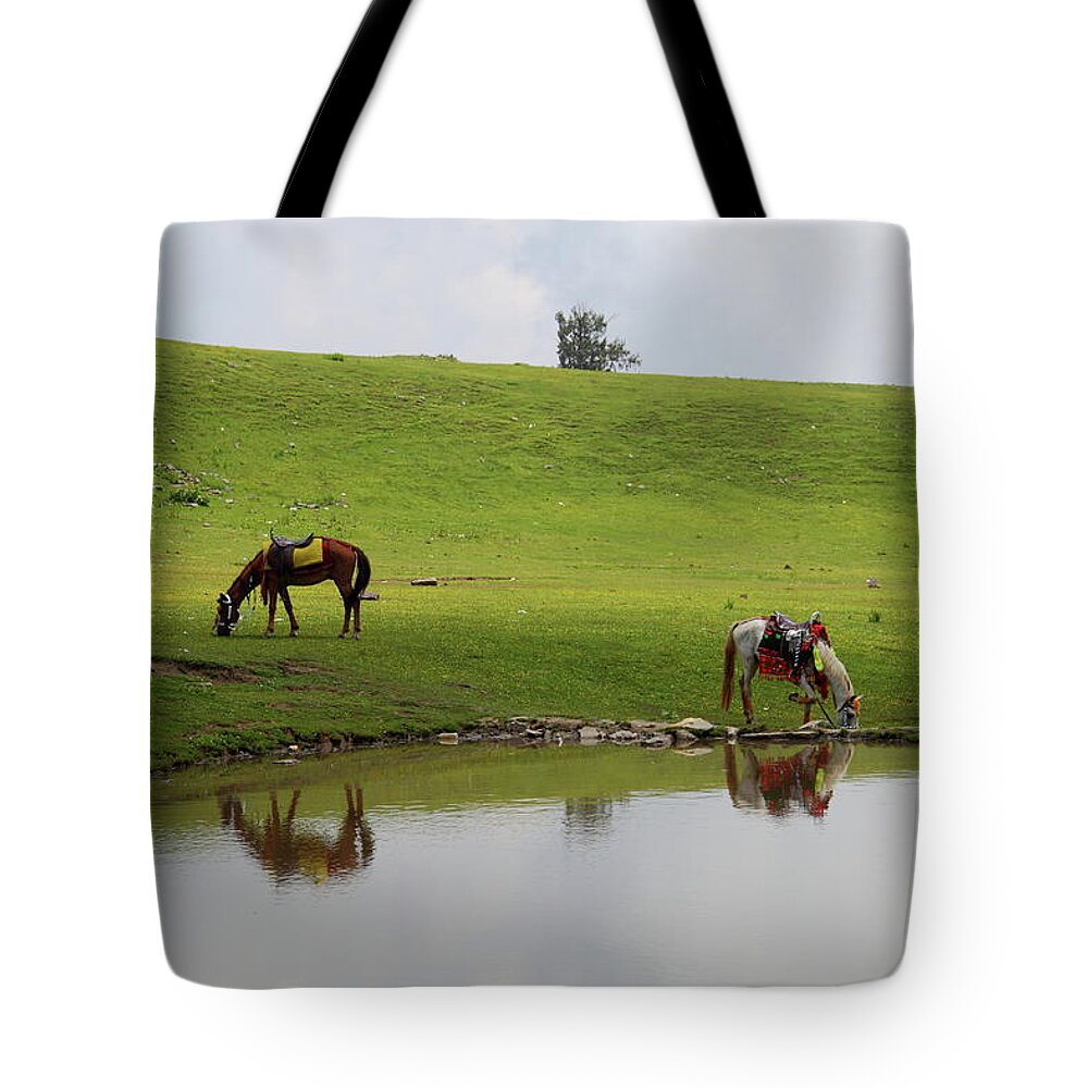 Horse Tote Bag featuring the photograph Taking Petrol by Photography By Adil Iftikhar