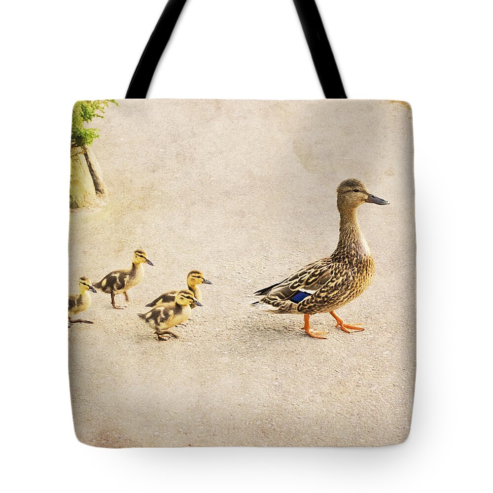 Mother Duck Tote Bag featuring the photograph Taking the ducklings for a Walk by Maria Janicki