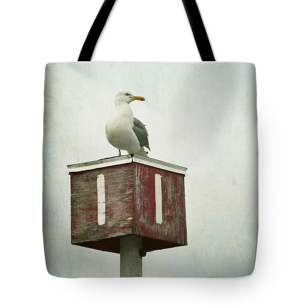 Wingaersheek Beach Tote Bag featuring the photograph Gull with Blue and Red by Brooke T Ryan