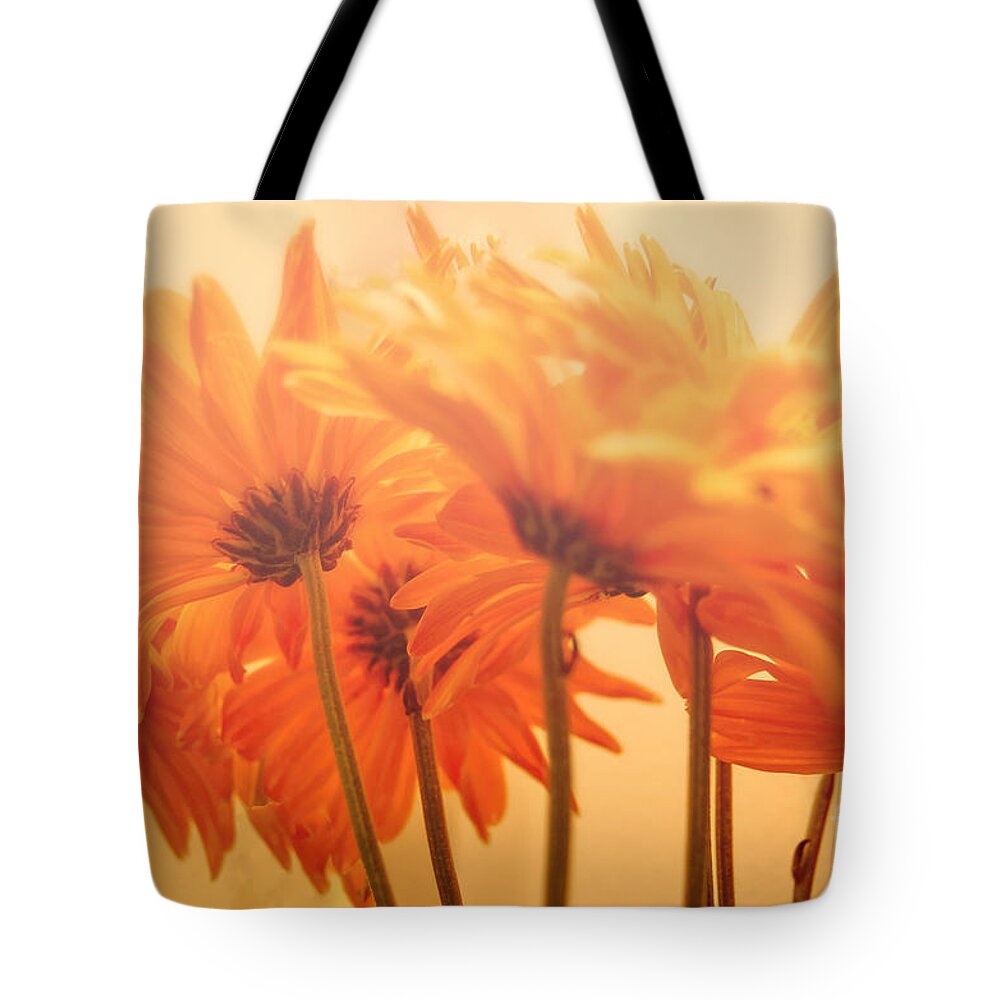 Flowers Tote Bag featuring the photograph Tangerine Dreams by Bianca Nadeau
