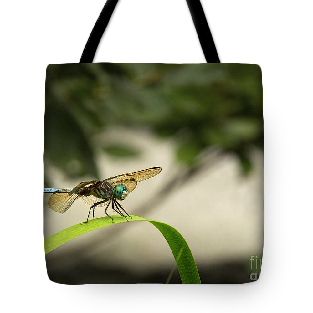 Teal Dragonfly Tote Bag featuring the photograph Teal Dragonfly by Jemmy Archer