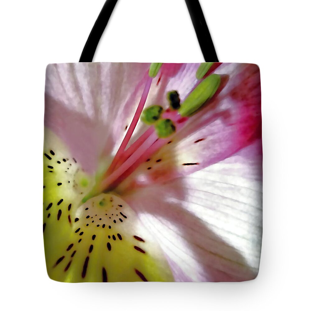 Artiste Danielle Parent Tote Bag featuring the photograph Tender Lily With Shadow by Danielle Parent