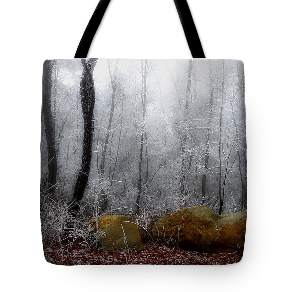Landscape Frost Tote Bag featuring the photograph Tennessee Mountain Frost by Michael Eingle