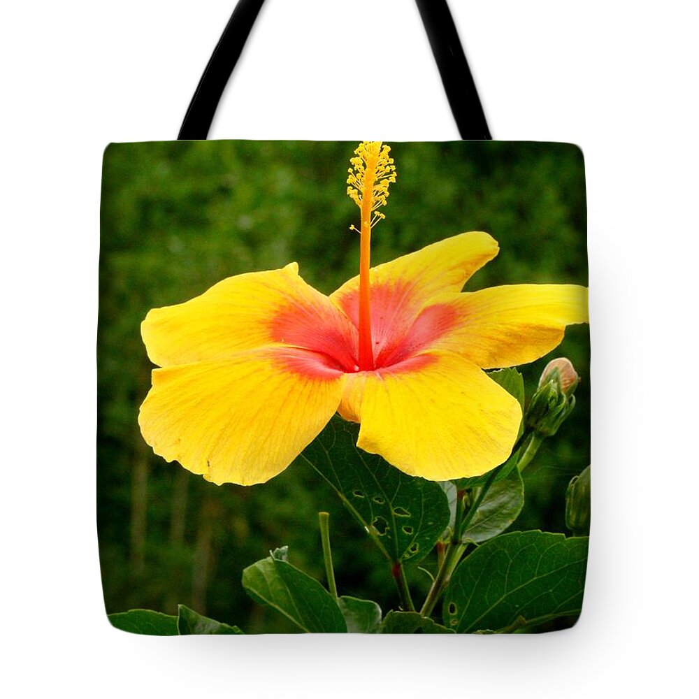 Fine Art Tote Bag featuring the photograph Tequila Sunrise by Rodney Lee Williams