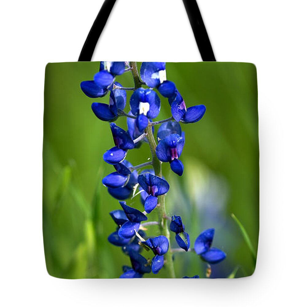 Texas Tote Bag featuring the photograph Texas Bluebonnet by Gary Langley