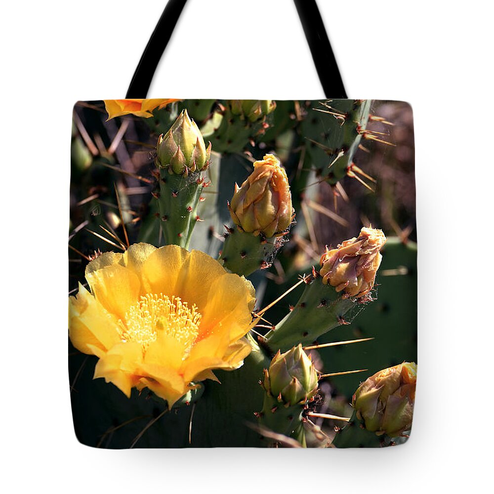 Texas Tote Bag featuring the photograph Texas Cactus by Linda Cox