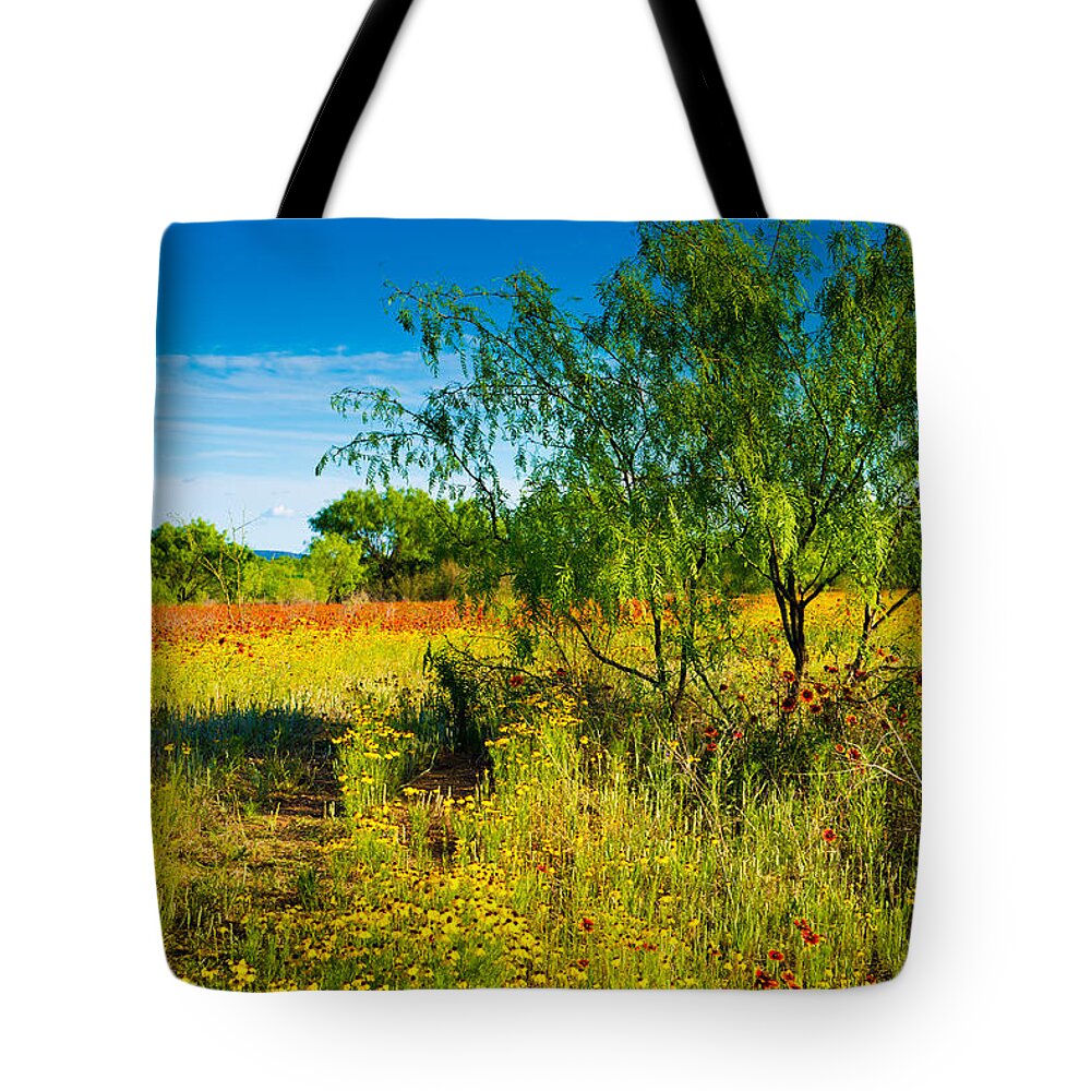 Texas Hill Country Tote Bag featuring the photograph Texas Hill Country Wildflowers by Darryl Dalton