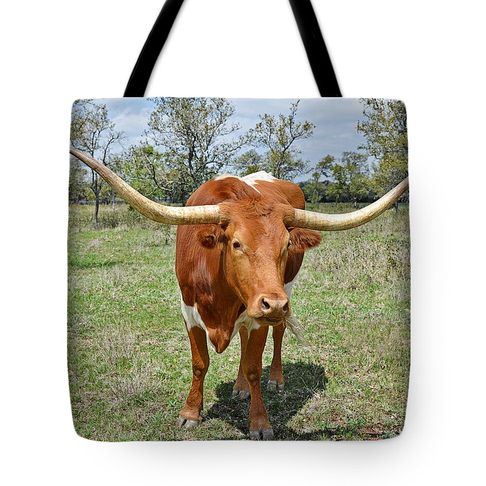 Longhorn Tote Bag featuring the photograph Texas Longhorn by Alexandra Till