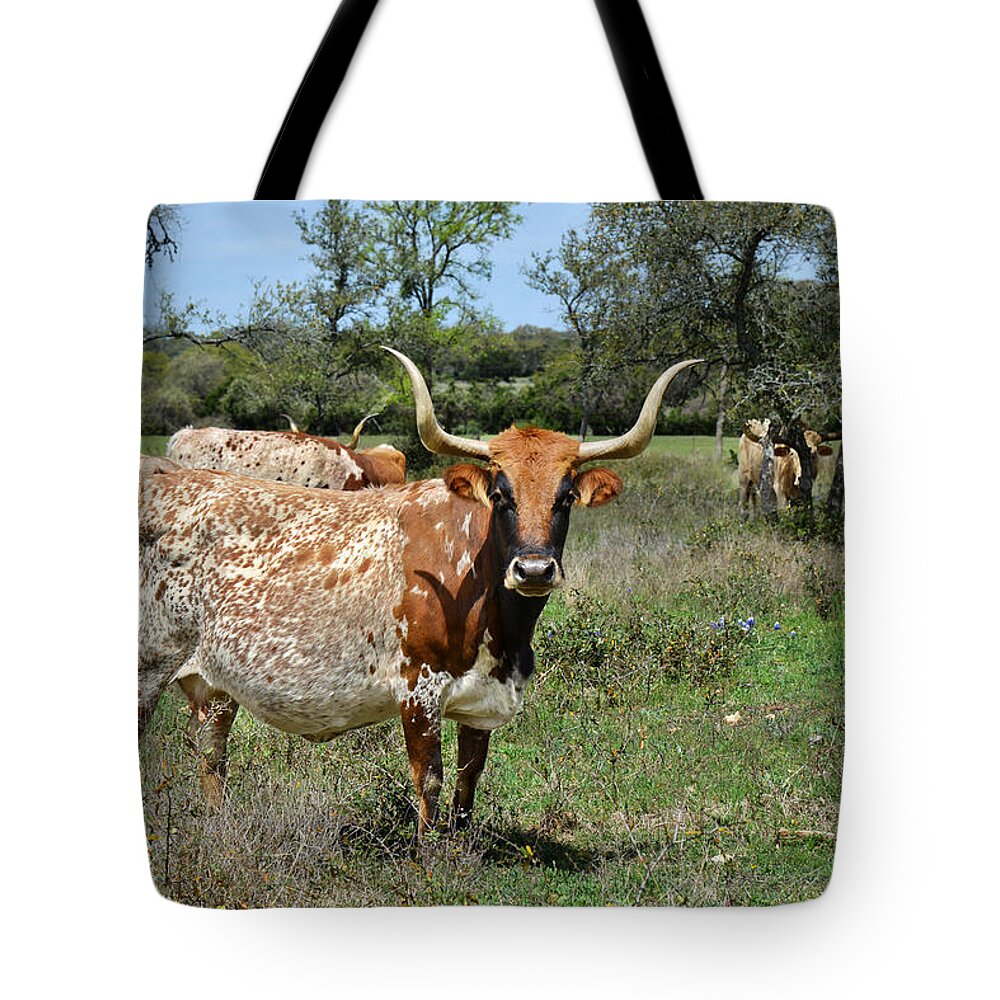 Longhorn Tote Bag featuring the photograph Texas Longhorns by Alexandra Till