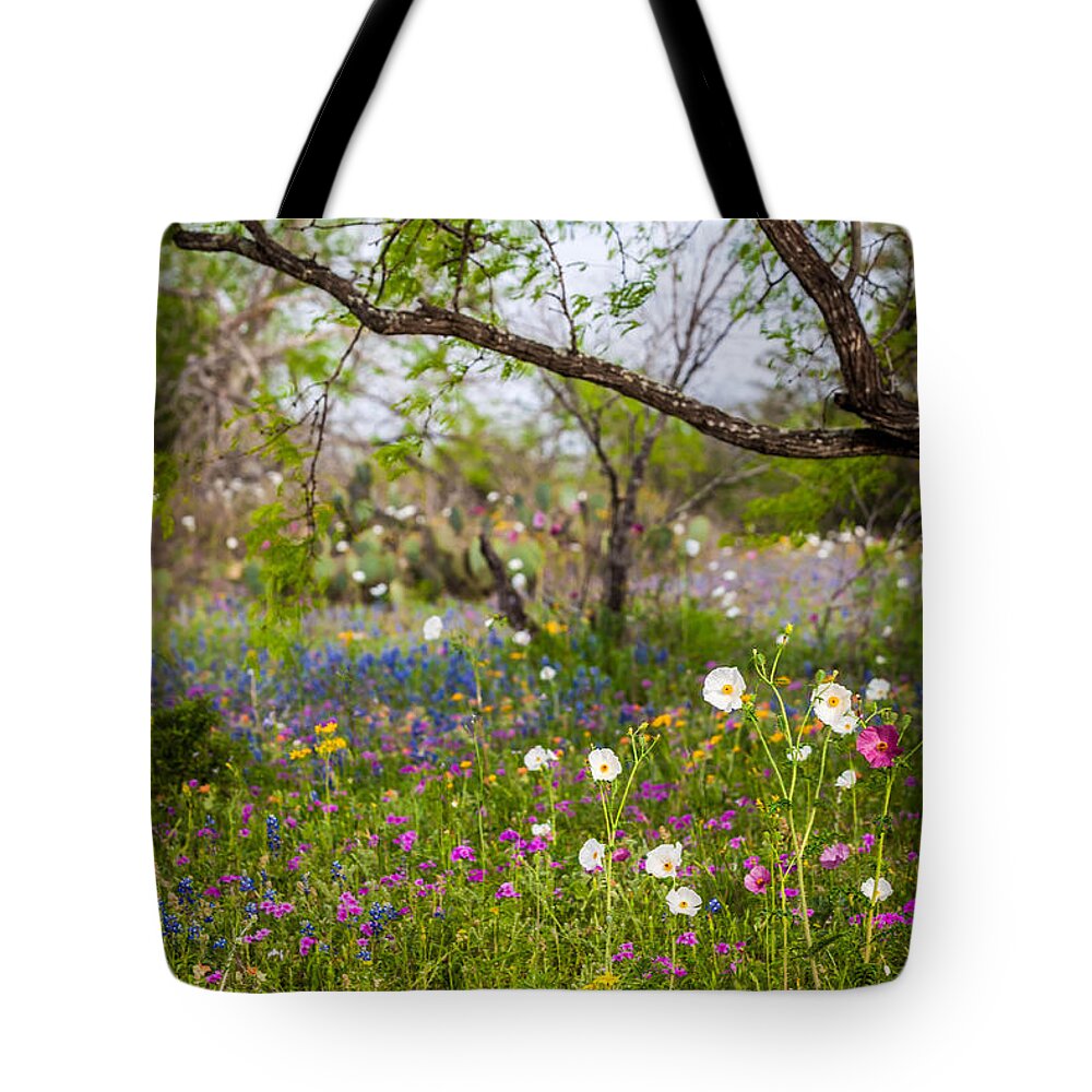 Lupinus Texensis Tote Bag featuring the photograph Texas Roadside Wildflowers 732 by Melinda Ledsome