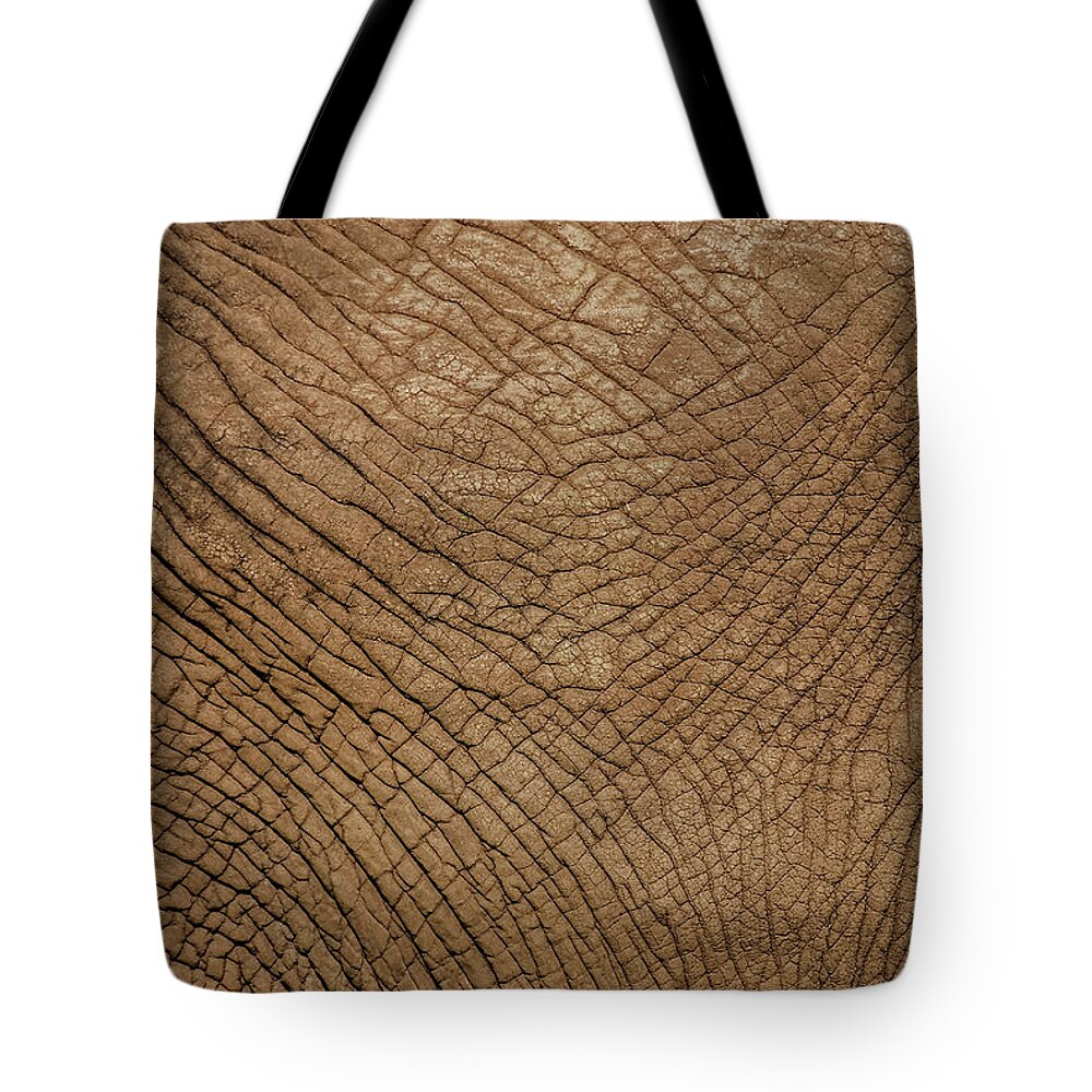 Large Tote in Elephant Genuine Leather 