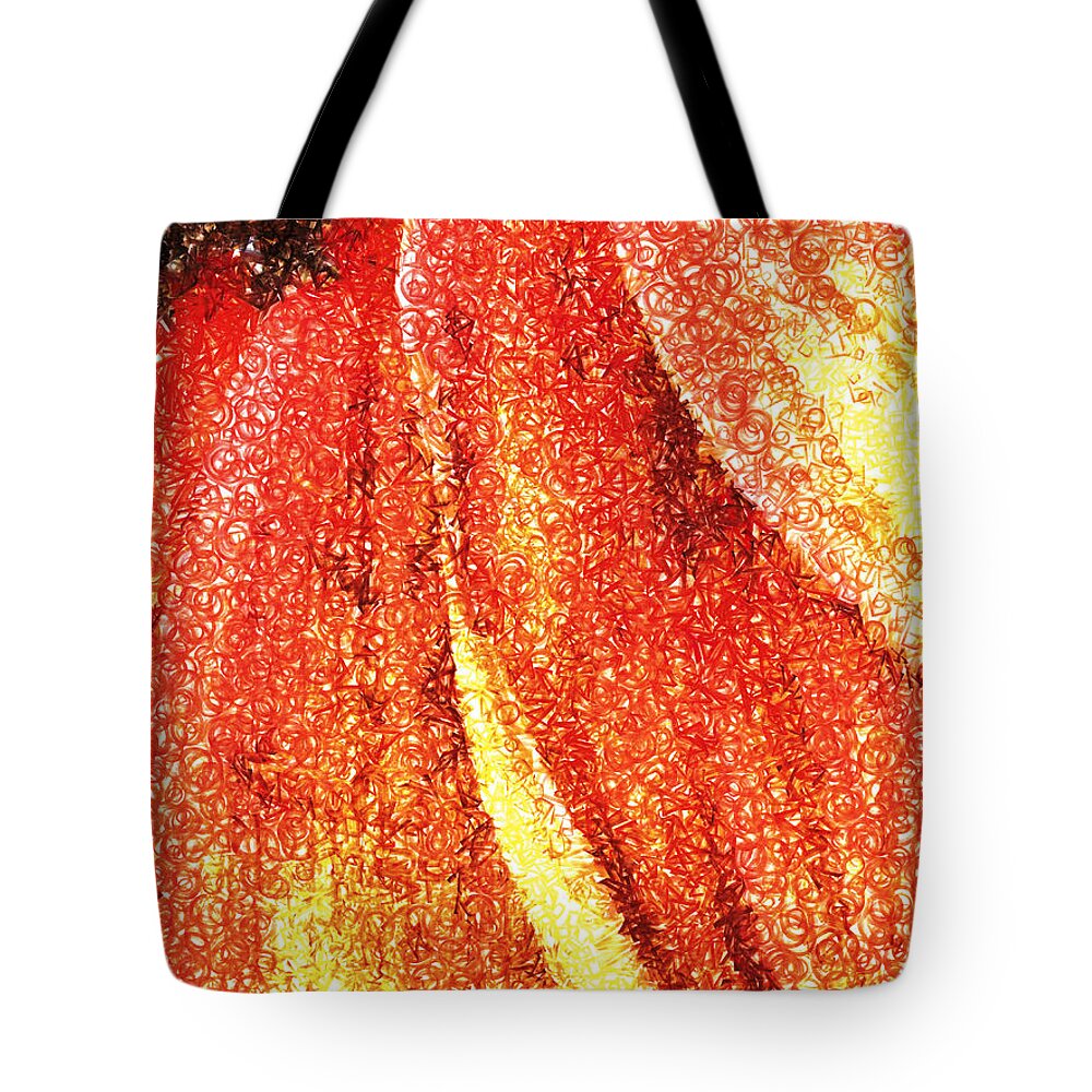 Texture; Red; Yellow; Brown; Fllower; Petals Tote Bag featuring the photograph Textured Petals by Steve Taylor