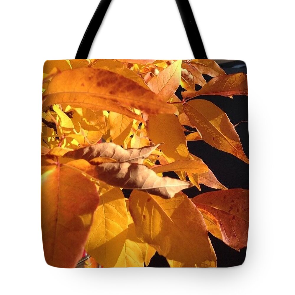 Leaveschangingcolor Tote Bag featuring the photograph That Golden Glow #nofilter #noedit by Anna Porter