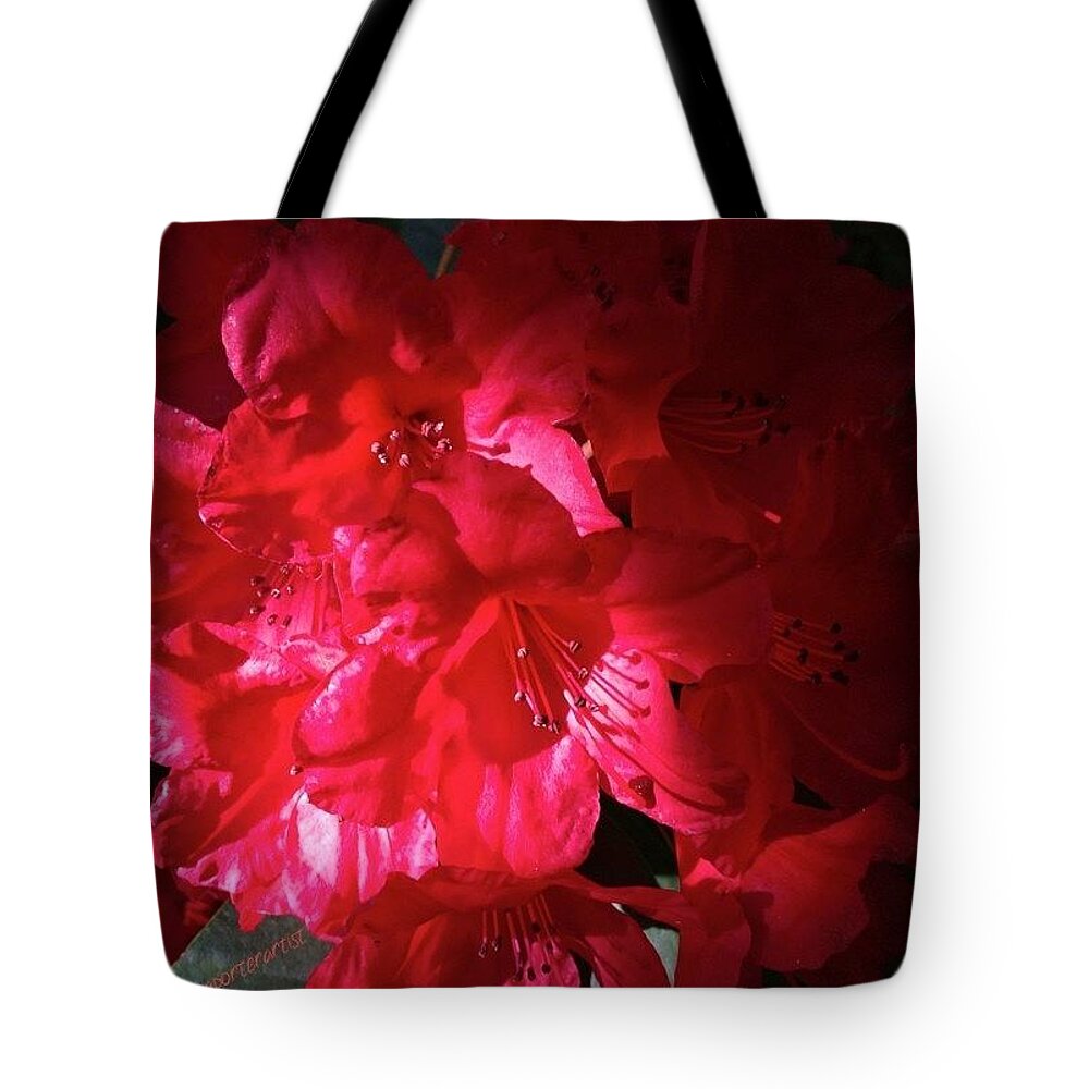 Flowersofinstagram Tote Bag featuring the photograph That Red Red Glow - Red Rhododendron by Anna Porter