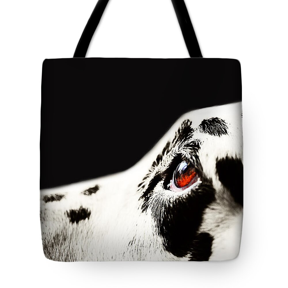 Dalmation Tote Bag featuring the photograph The Amber Eye. Kokkie. Dalmatian Dog by Jenny Rainbow