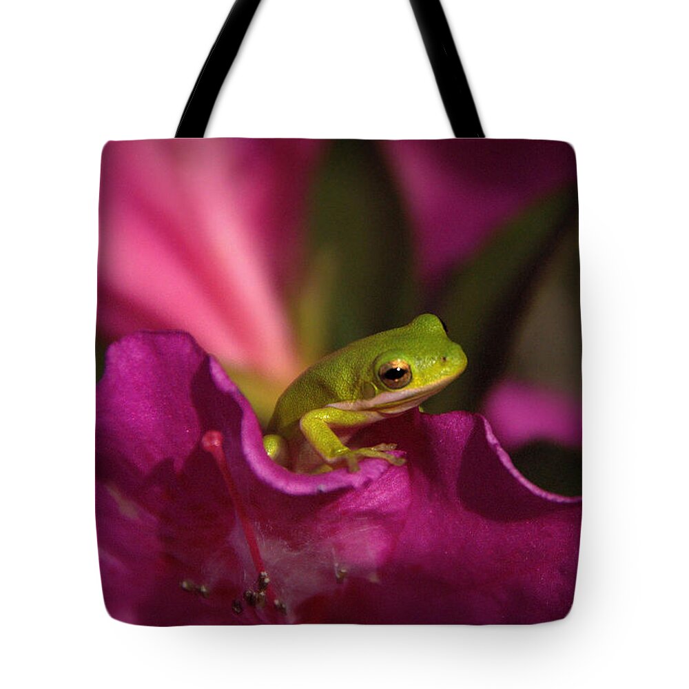 Frog Tote Bag featuring the photograph The Azalea Bed by Charlotte Schafer