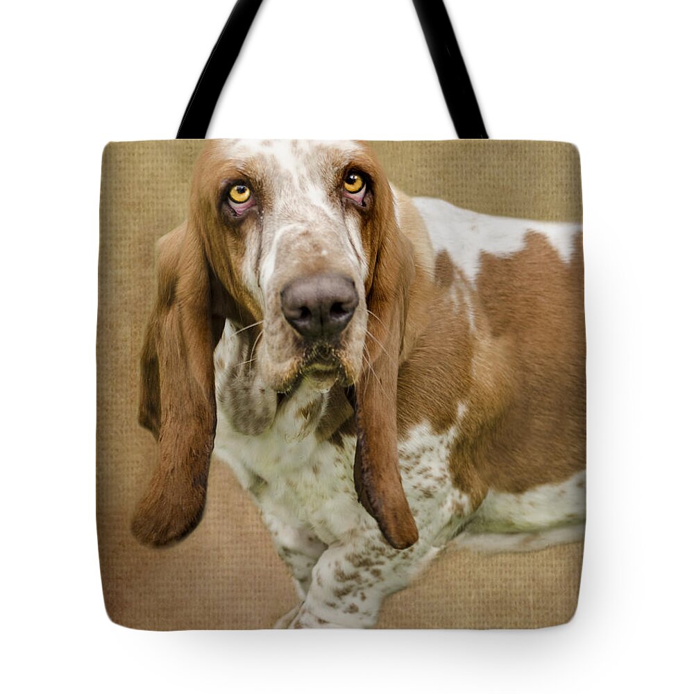 Linsey Wiliams Photography Tote Bag featuring the digital art The Basset Hound by Linsey Williams