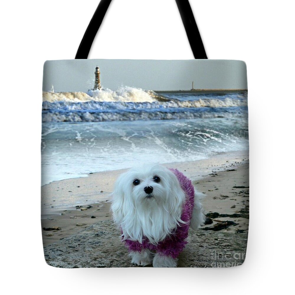 maltese Dog Tote Bag featuring the mixed media The Beach in Winter by Morag Bates