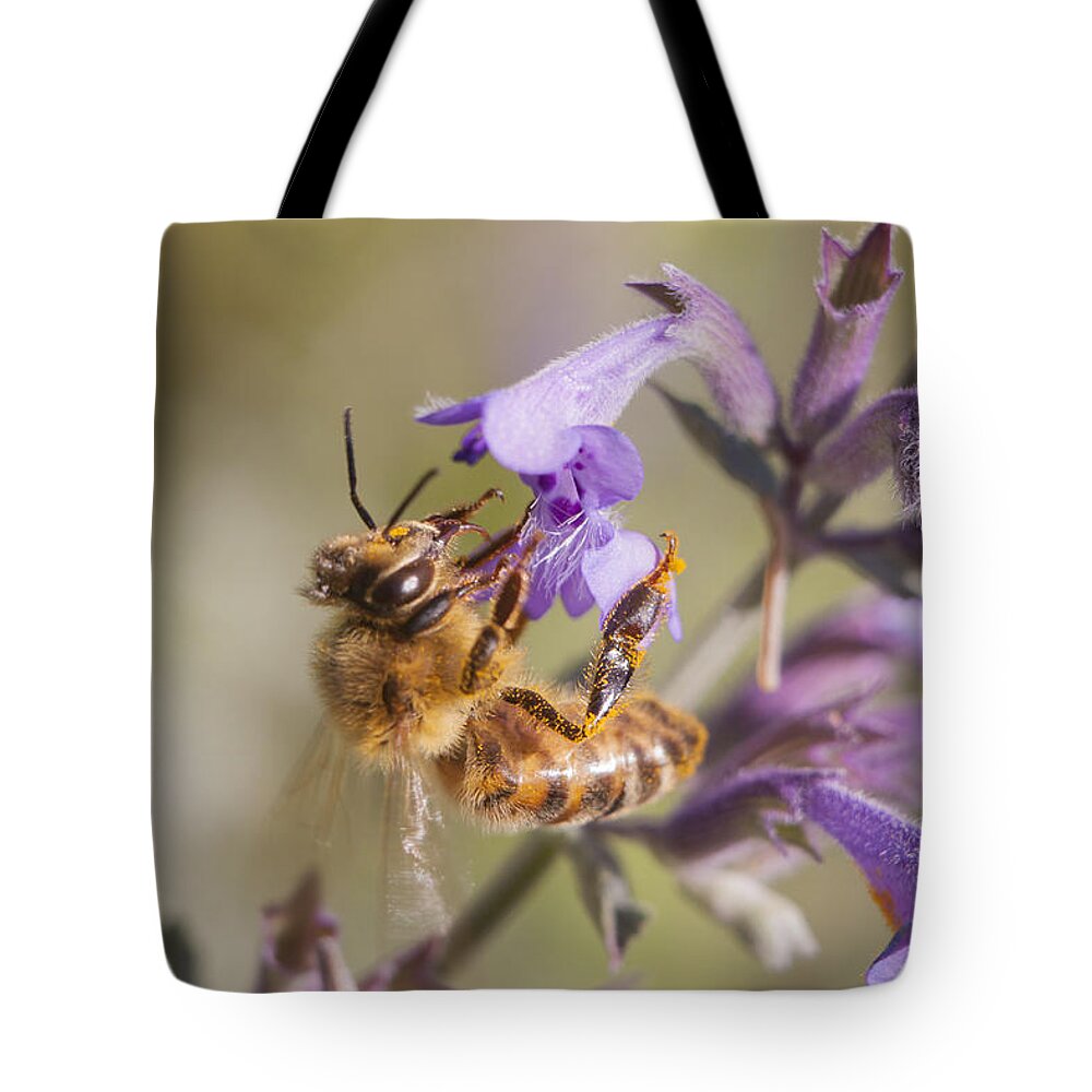 Bee Tote Bag featuring the photograph The Bee's Knees by Caitlyn Grasso