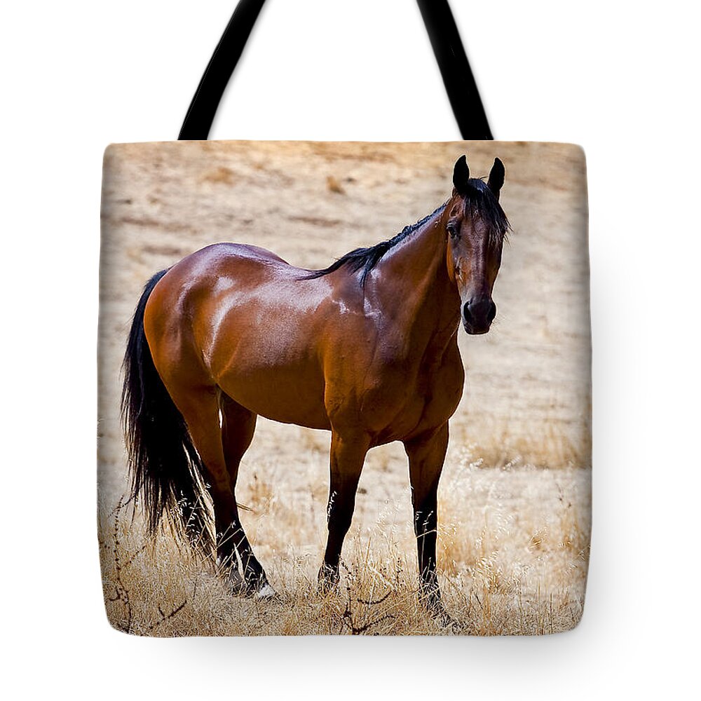 Horse Tote Bag featuring the photograph The Big Bay by Michelle Wrighton
