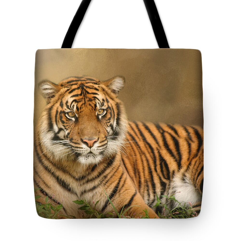 Africa Tote Bag featuring the photograph The Big Cat by Kim Hojnacki