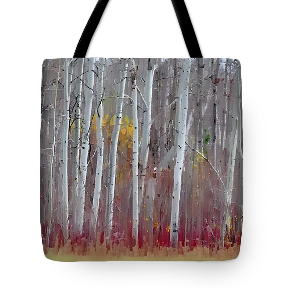 Fall Panorama Tote Bag featuring the photograph The Birches Panorama by Andrea Kollo