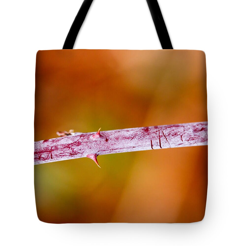 Thorn Tote Bag featuring the photograph The Bitter Warmth Of Winter by Shane Holsclaw
