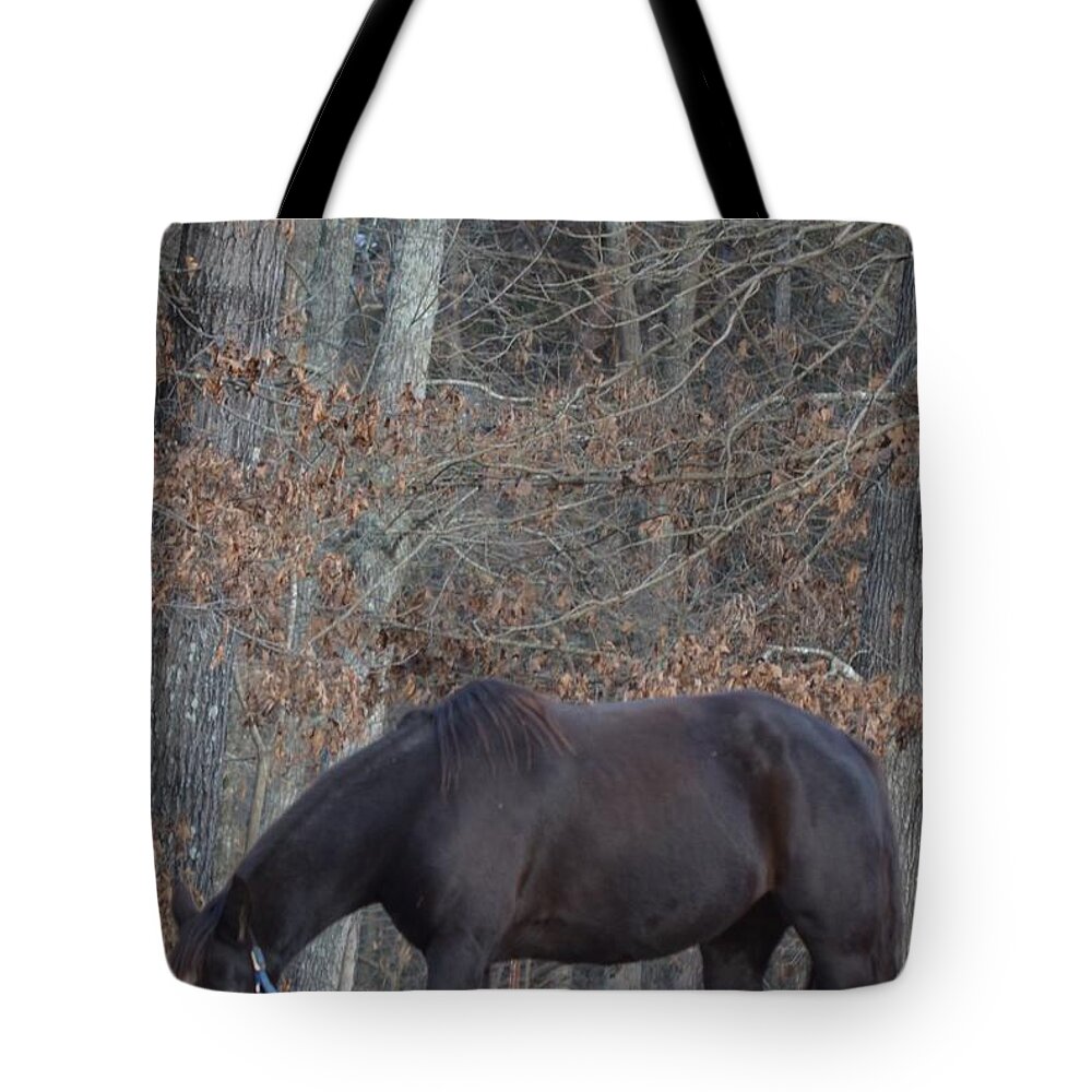 Black Tote Bag featuring the photograph The Black by Maria Urso
