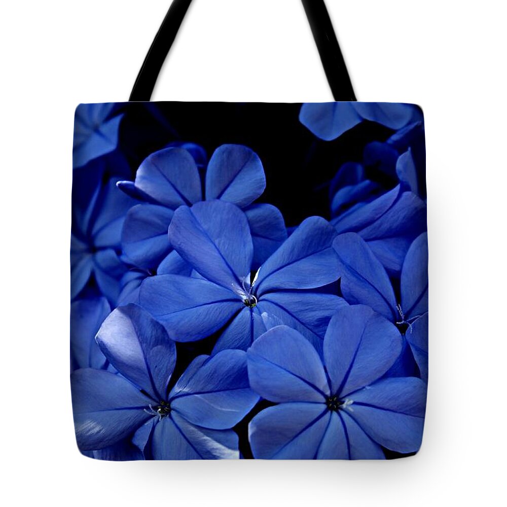 Plumbago Tote Bag featuring the photograph The Blues by Clare Bevan