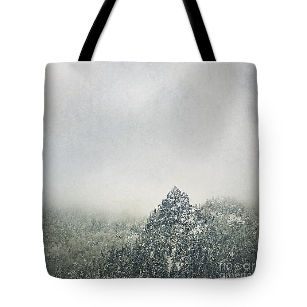1x1 Tote Bag featuring the photograph The Brauneck by Hannes Cmarits