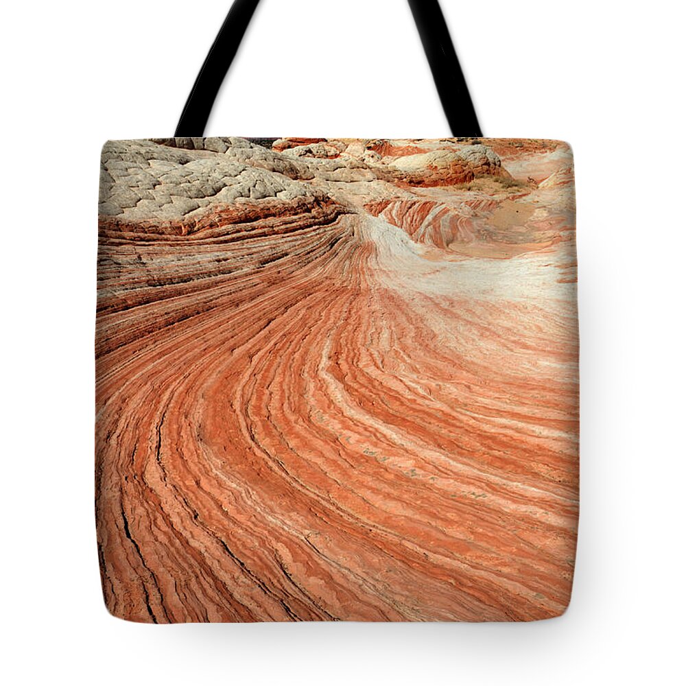 White Pocket Tote Bag featuring the photograph The Brilliance Of Nature 3 by Bob Christopher