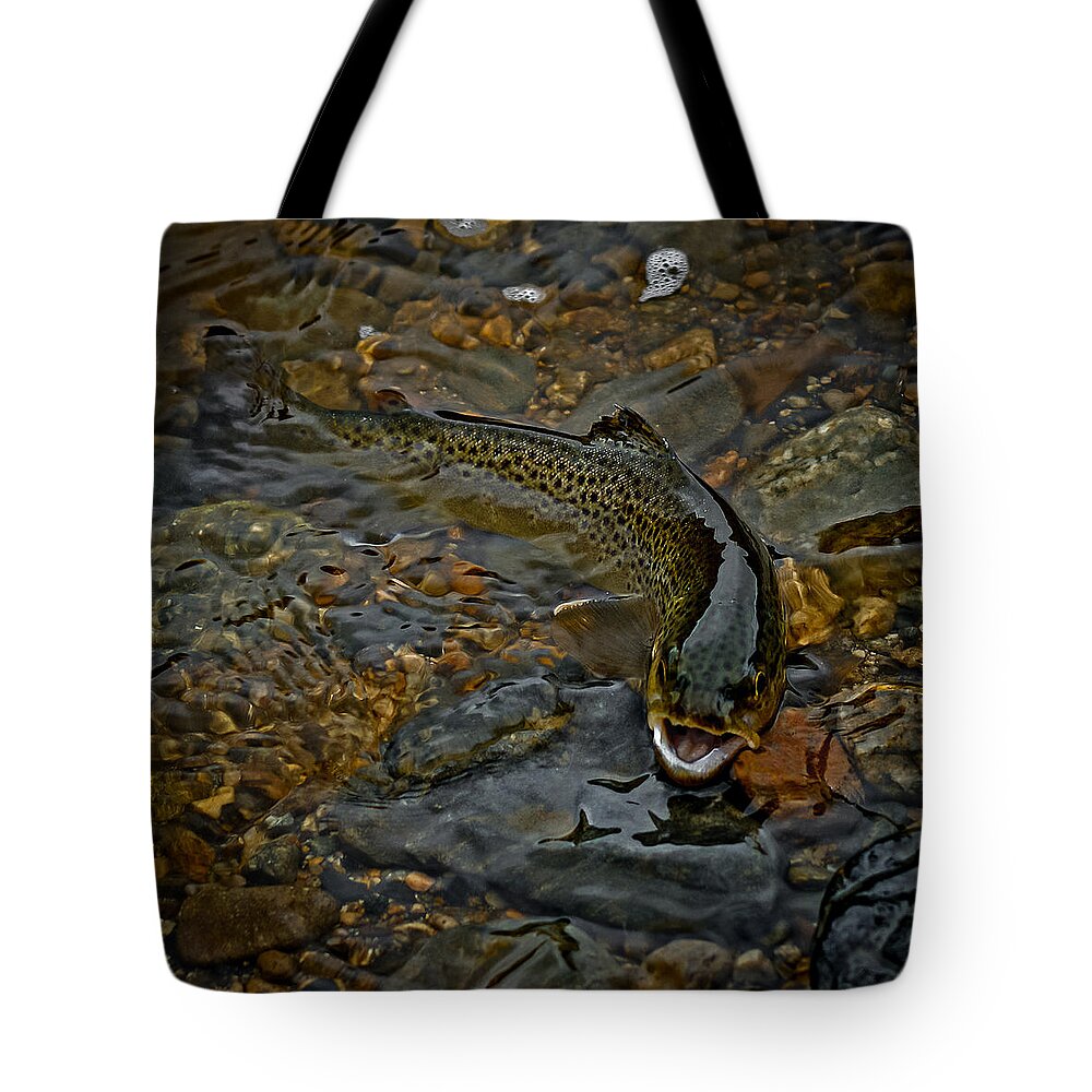 The Brown Trout Tote Bag featuring the photograph The Brown Trout by Ernest Echols