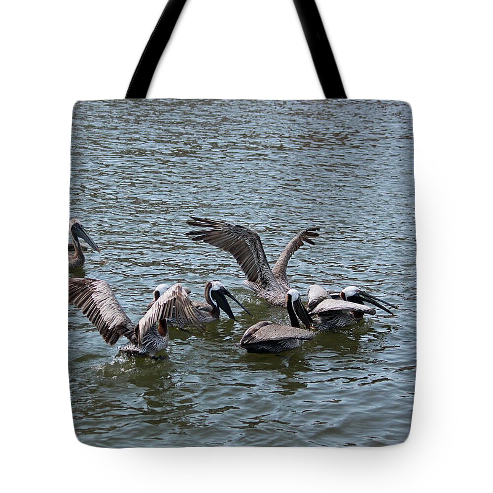 Pelican Tote Bag featuring the photograph The Brunch Bunch by Suzanne Gaff
