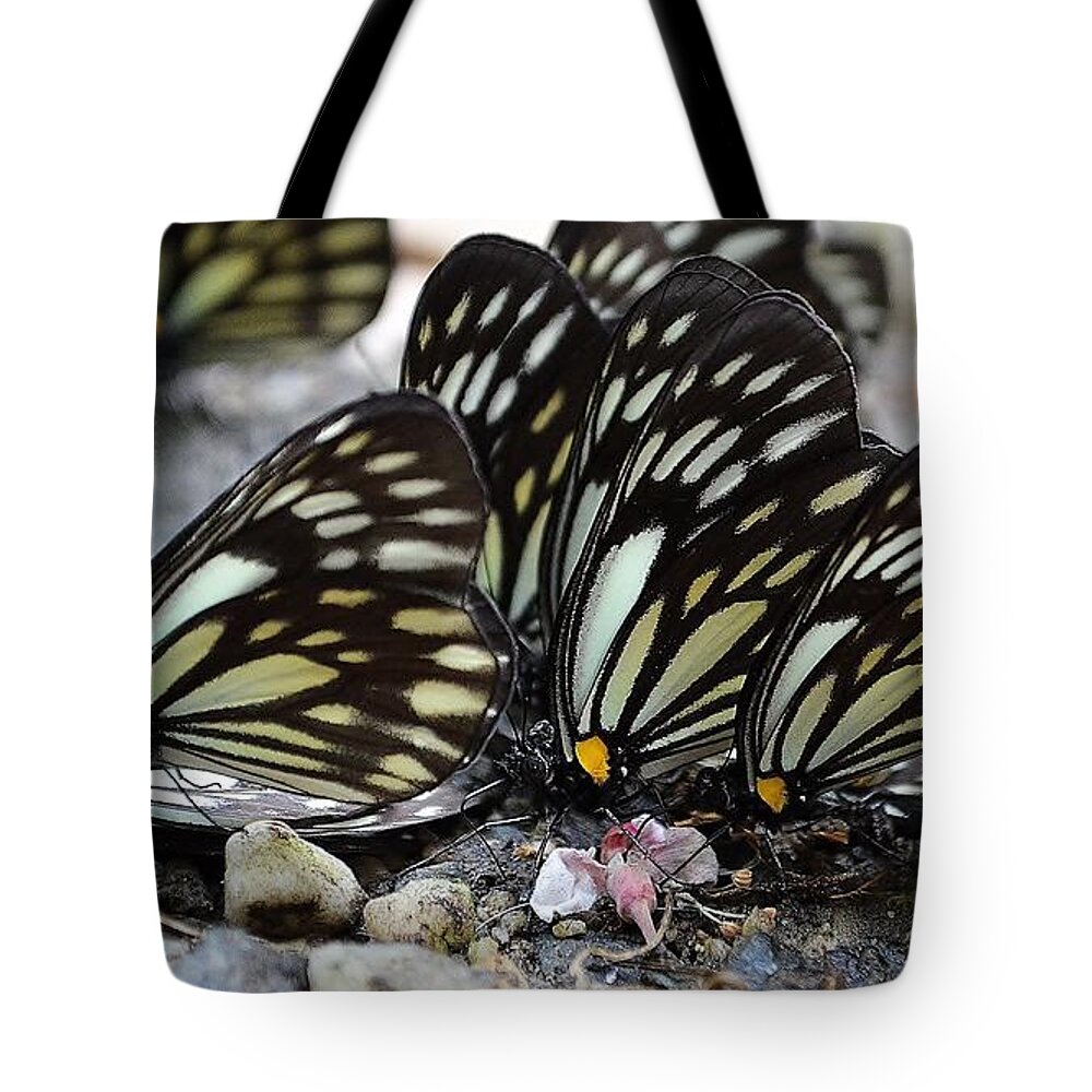 Butterfly Tote Bag featuring the photograph The Butterfly Gathering by Kim Bemis