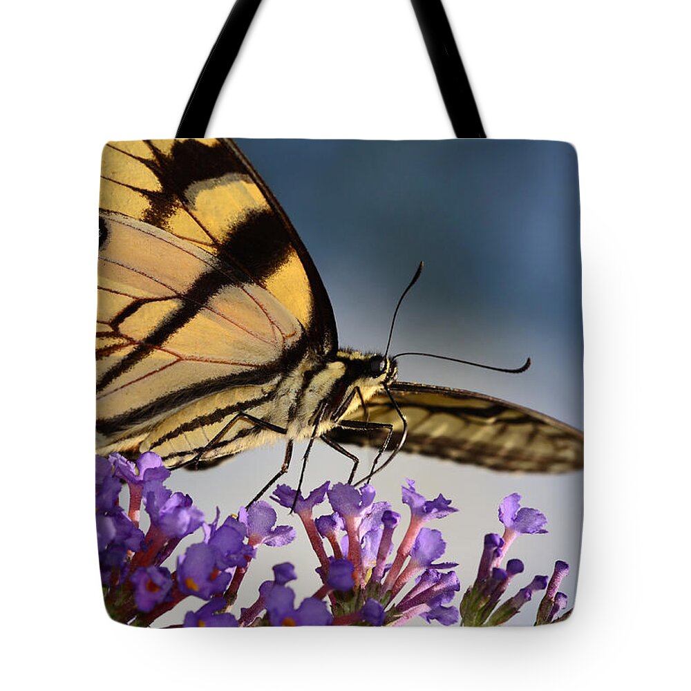 Butterfly Tote Bag featuring the photograph The Butterfly by Lori Tambakis
