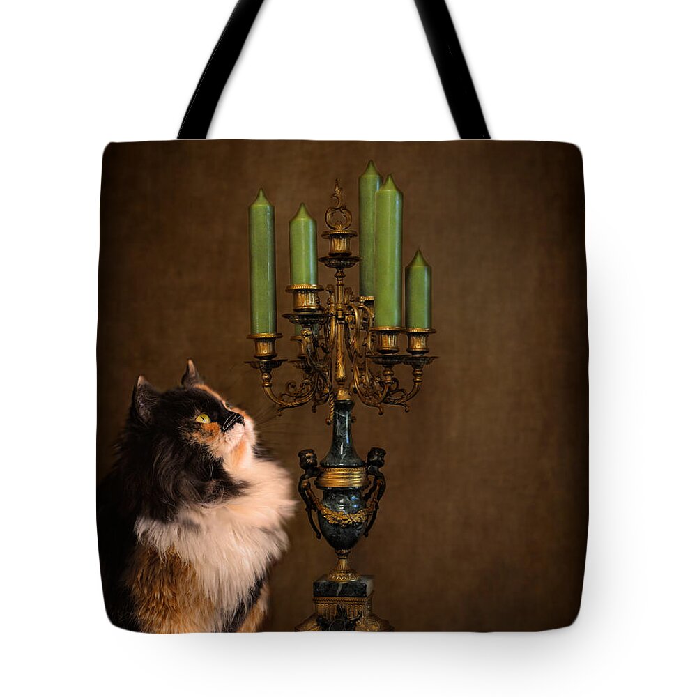 Animal Tote Bag featuring the photograph The Cat and the Candelabra by Jai Johnson