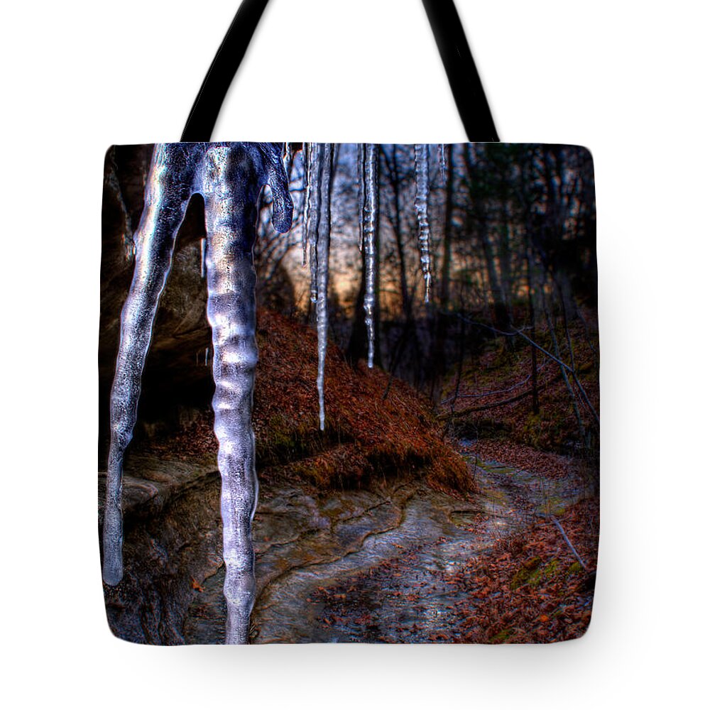2009 Tote Bag featuring the photograph The Cave of the Crystal Daggers by Robert Charity