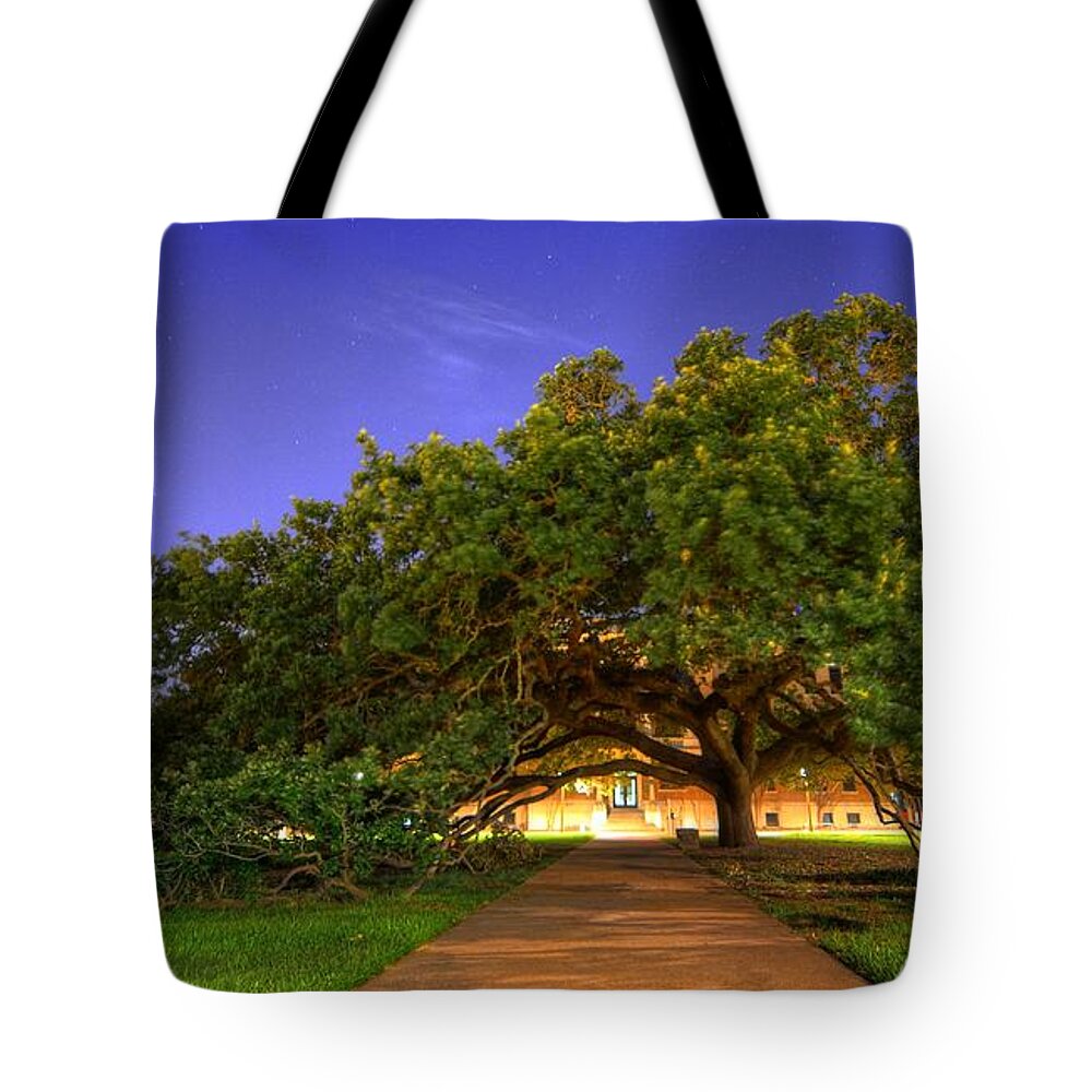 The Century Tree Tote Bag featuring the photograph The Century Tree by David Morefield