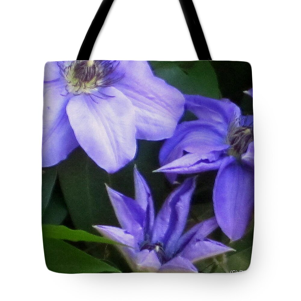 Flowers Tote Bag featuring the photograph The color purple by Rabiah Seminole