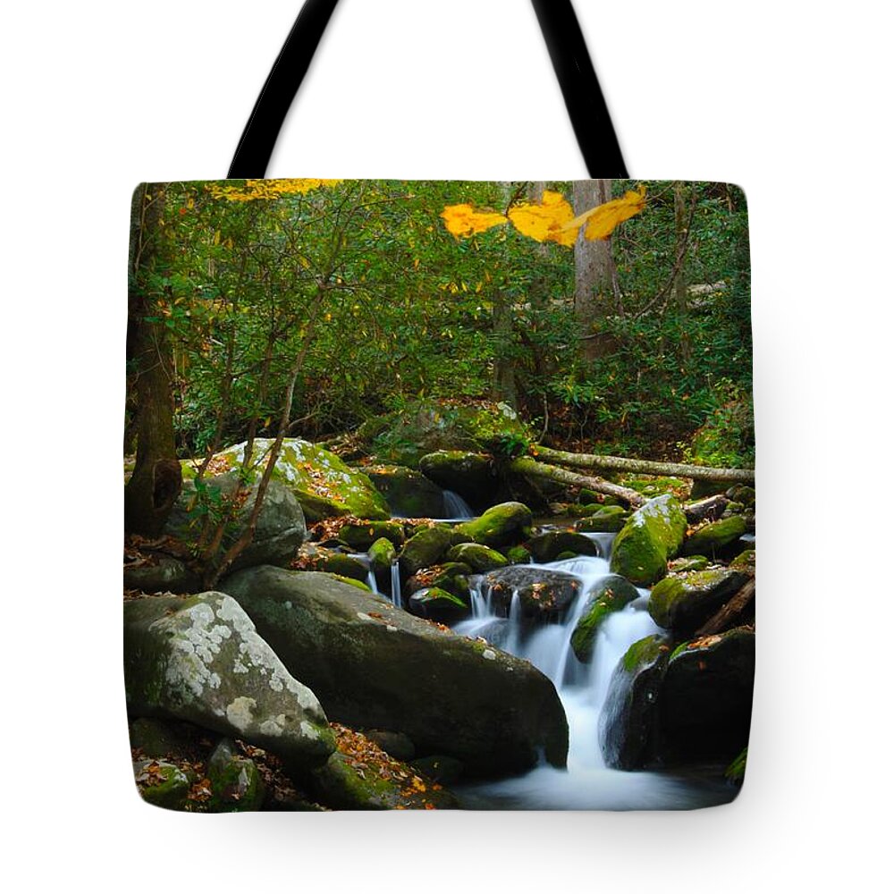 Nunweiler Tote Bag featuring the photograph The Colors of Autumn by Nunweiler Photography