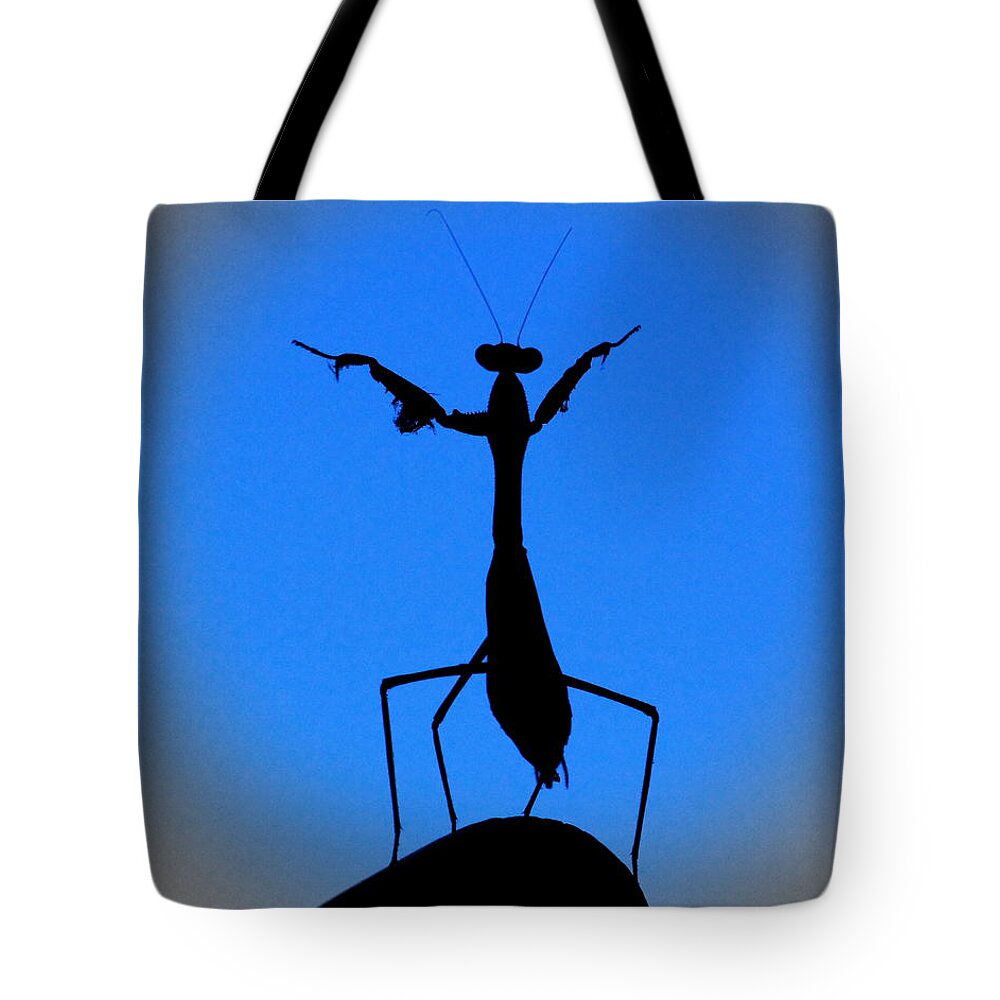 Conductor Tote Bag featuring the photograph The Conductor by Patrick Witz