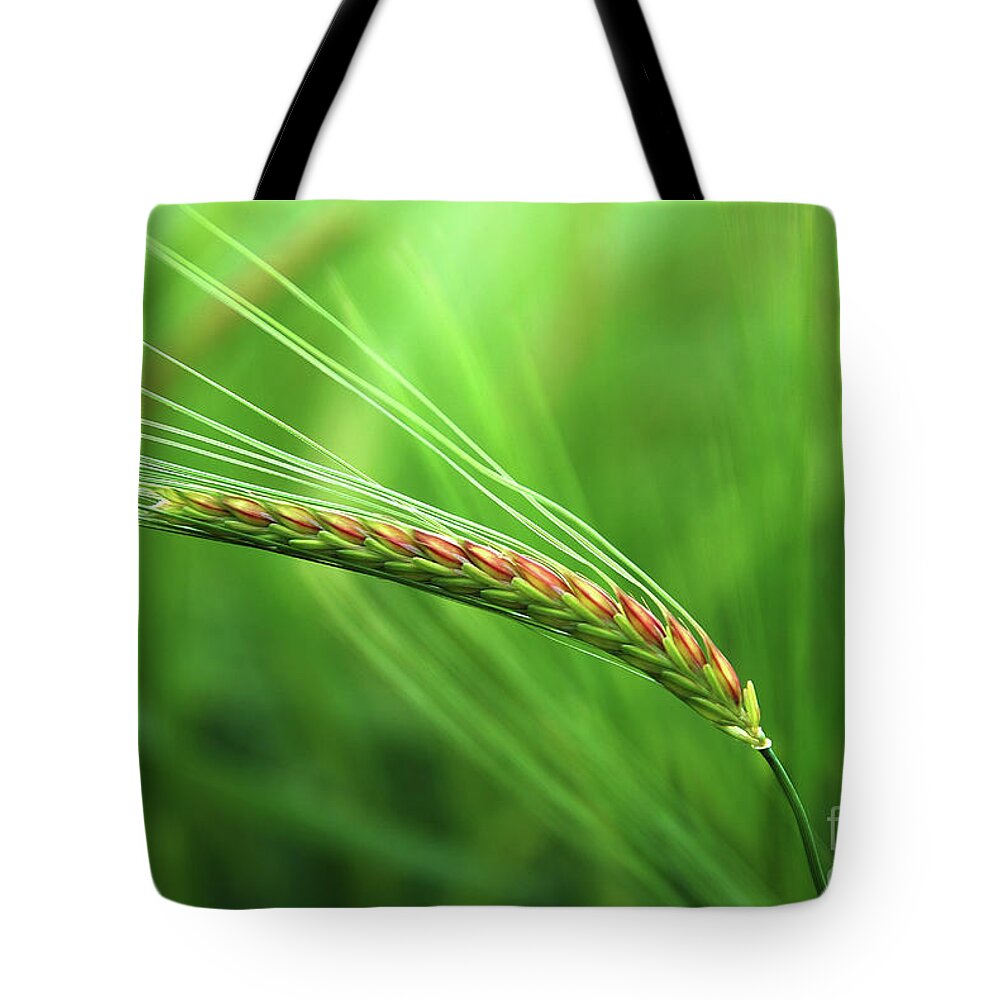 Corn Tote Bag featuring the photograph The Corn by Hannes Cmarits