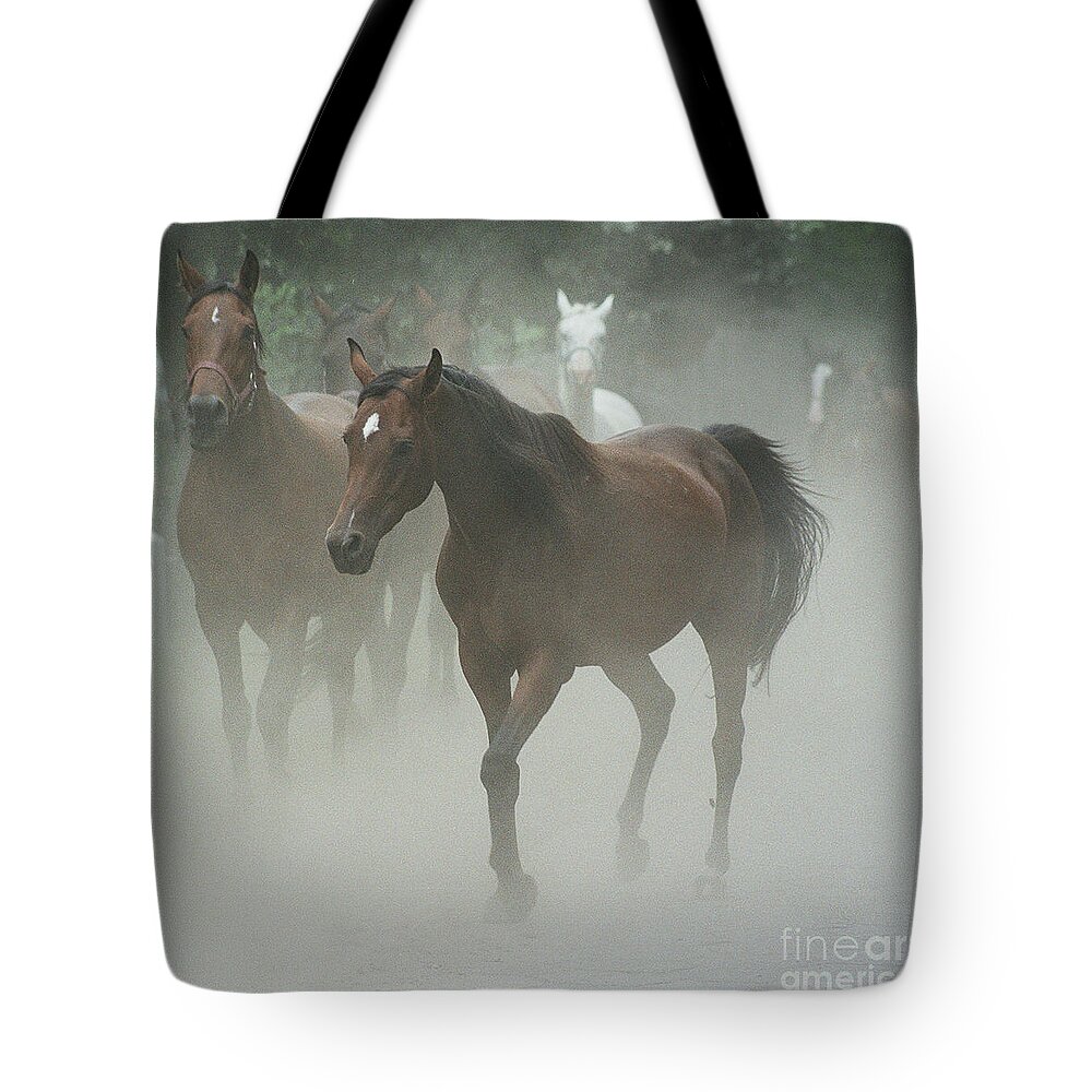 Arabian Horse Tote Bag featuring the photograph The daughters of a Desert by Ang El