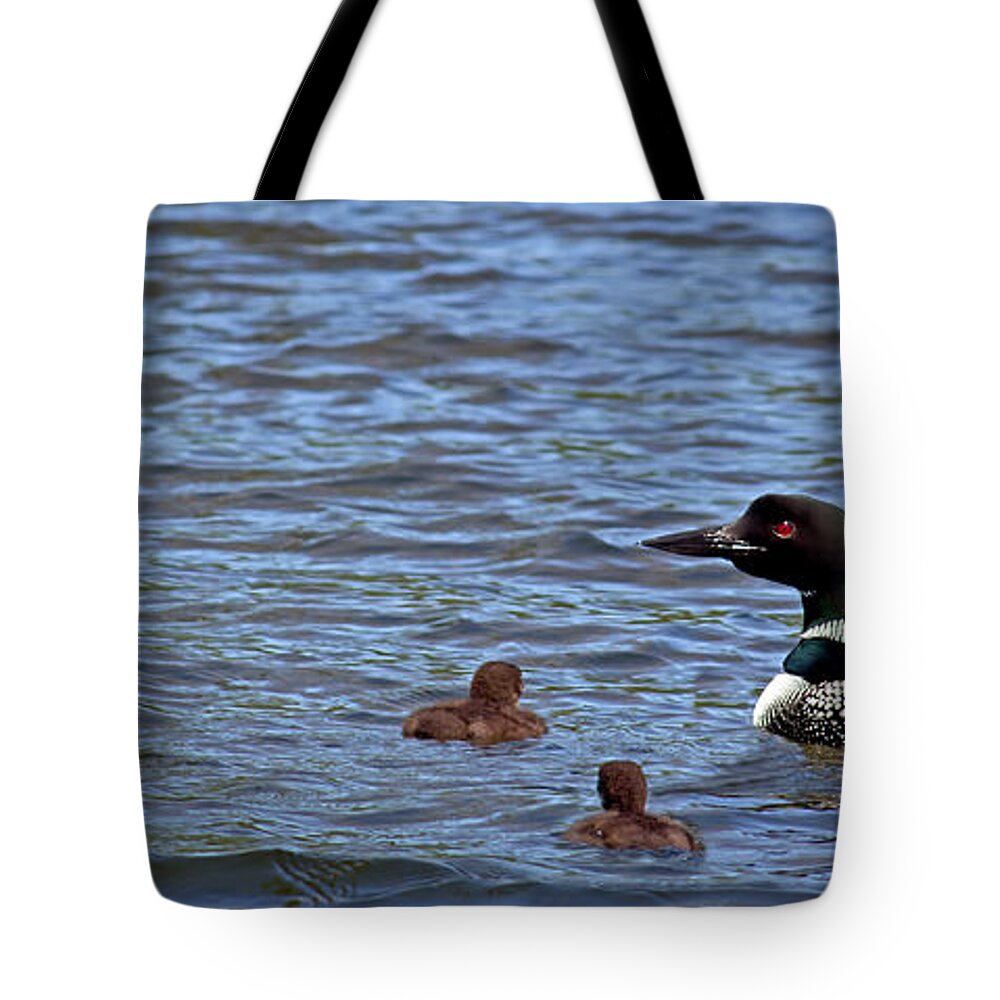 Loons Tote Bag featuring the photograph The Deep End by Angie Schutt