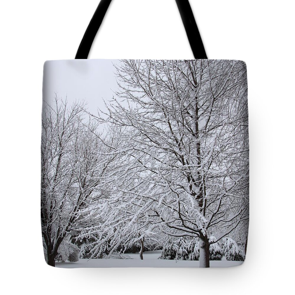 Winter Tote Bag featuring the photograph The distance of winter by Jennifer E Doll